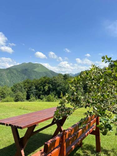 a wooden bench sitting in a field with a tree at Kolibe Ćorić in Mojkovac