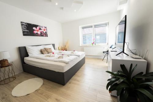 1 dormitorio con cama y escritorio. en Luxe Apartments en Ljutomer