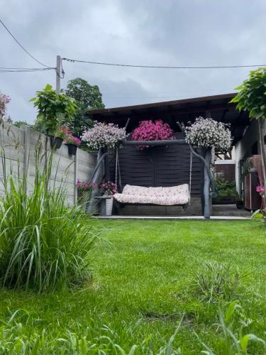 a garden with pink flowers in a yard at Apartament u Danusi in Złoty Stok
