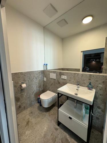 a bathroom with a sink and a toilet at Industrial Apartment Schlossberg in Linz