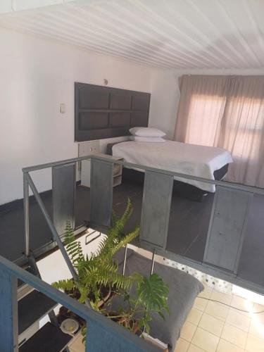 Habitación con cama y balcón con plantas. en Stay 4May, en Tsumeb