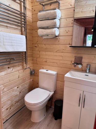 a bathroom with a toilet and a sink at Ditchling Lodge in Ditchling