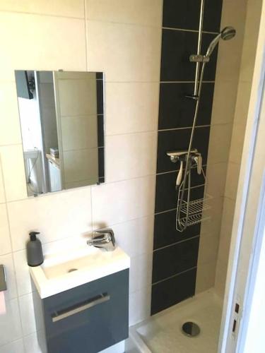une salle de bain avec un lavabo et une douche avec un miroir dans l'établissement Studio COZY, à Chambéry