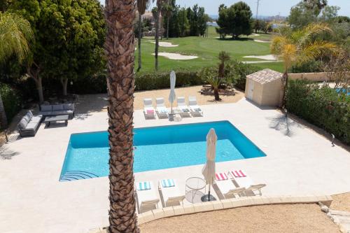 a swimming pool with chairs and a palm tree at Villa Bonalba in Mutxamel