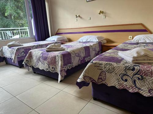 a room with two beds and a window at Парк-хотел РИВА in Golden Sands