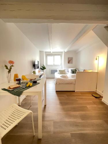 un salon avec un lit et une table dans l'établissement A NE PAS MANQUER Studio plein centre d Avignon climatisé, à Avignon