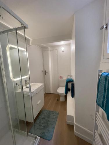 une salle de bain avec une douche en verre et des toilettes dans l'établissement A NE PAS MANQUER Studio plein centre d Avignon climatisé, à Avignon