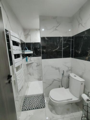 une salle de bain avec des toilettes blanches et des murs en marbre noir et blanc dans l'établissement Appart 1 ch rénové avec piscine, à Morières-lès-Avignon