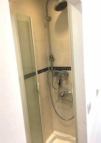 La salle de bains est pourvue d'une douche avec un tuyau. dans l'établissement Studio GUITAR, à Chambéry