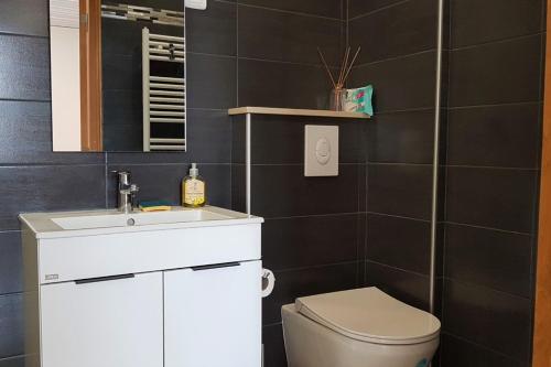 une salle de bain avec toilettes, lavabo et miroir dans l'établissement Le Cap Horn, à Dinard