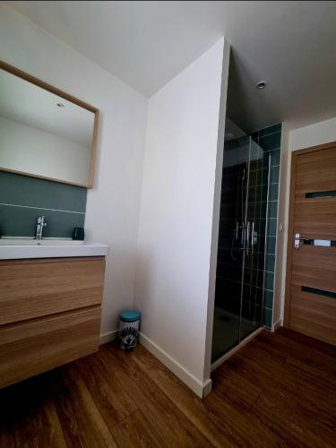 a bathroom with a sink and a shower at Villa Provençale in Beaumes-de-Venise