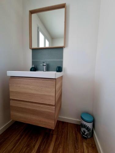 a bathroom with a sink and a mirror at Villa Provençale in Beaumes-de-Venise