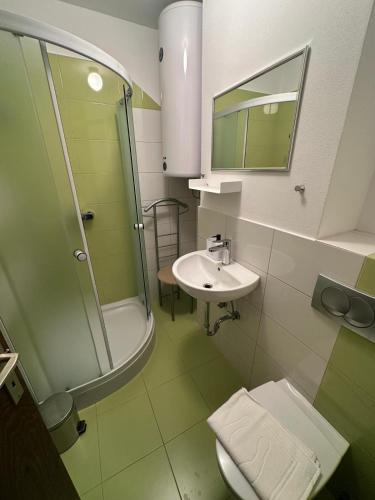 a bathroom with a shower and a toilet and a sink at Apartma Marjeta in Bovec