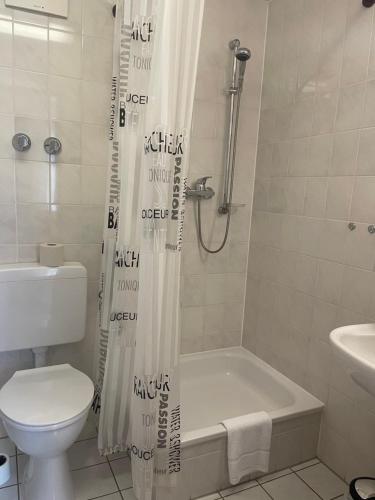 a bathroom with a toilet and a shower curtain at Hotel Zum Bären in Kurort Altenberg