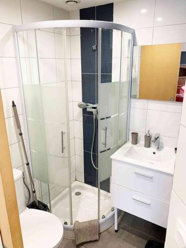 une salle de bain avec une douche, des toilettes et un lavabo dans l'établissement Studio HOCKEY, à Chambéry