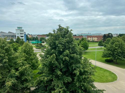 a large tree in a park with buildings in the background at This weekend! Two double rooms with parking in quiet well-kept flat in Hatfield