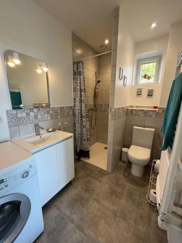 une salle de bain avec un lavabo, des toilettes et une douche dans l'établissement Joli gîte neuf en pleine campagne à 12 min de Sens, à Égriselles-le-Bocage