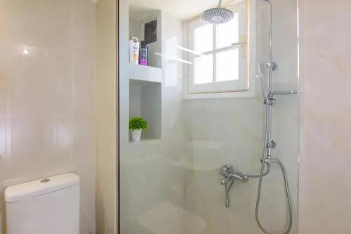 a bathroom with a shower with a toilet and a window at Bellevue Suites in Agios Nikolaos