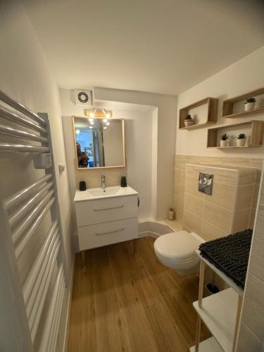 une salle de bain avec toilettes, lavabo et miroir dans l'établissement Chez Elo : Mourillon - neuf - 1min des plages - Belle Vue Mer, à Toulon