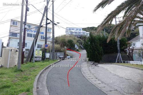 a road is next to a building with a palm tree at ペンション桜家 in Shimoda