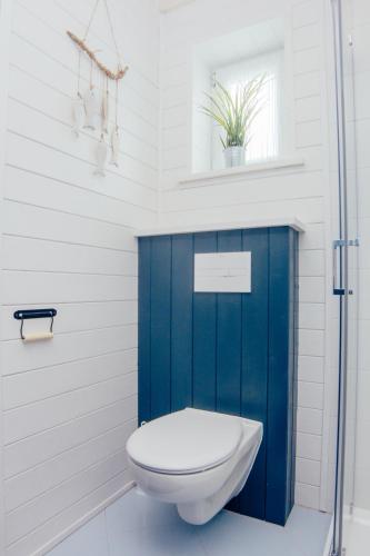 a bathroom with a blue toilet and a window at Fajne Miejsce Dębki in Dębki