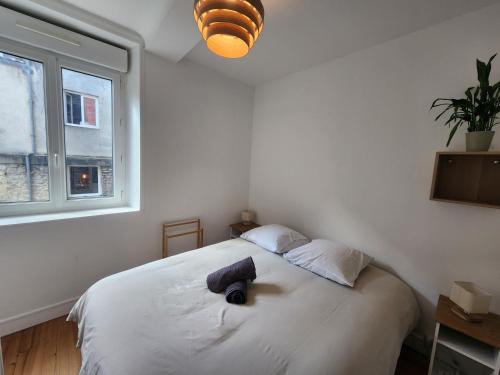 une chambre avec un grand lit blanc avec une grande fenêtre dans l'établissement Le Cocon du Château - Appt 4pers - Hypercentre, à Caen