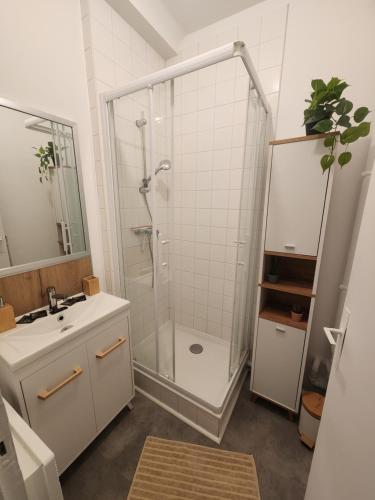 une salle de bain avec douche et lavabo dans l'établissement Le Cocon du Château - Appt 4pers - Hypercentre, à Caen