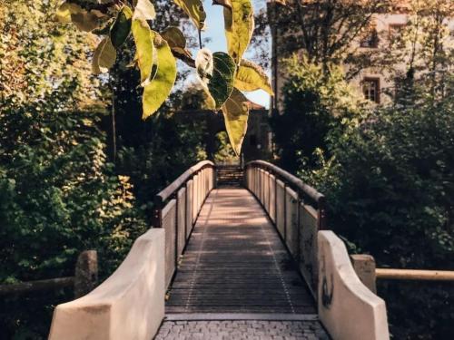 a bridge in a park with leaves on it at Naab Chalet 14 in Nabburg