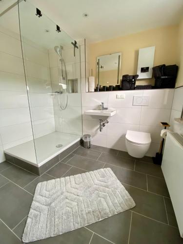 a bathroom with a shower and a toilet and a sink at Haus Jonas in Mechernich