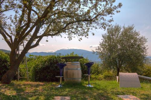 un tonneau posé dans l'herbe à côté d'un arbre dans l'établissement Le Mas de la Font de l'Aube, à Mérindol-les-Oliviers