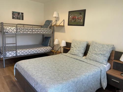 a bedroom with a bed and a bunk bed at Chambres Zazpiak in Saint-Jean-Pied-de-Port