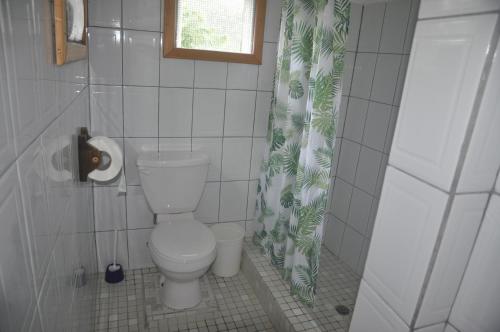 a bathroom with a toilet and a shower curtain at Hibiscus Valley Inn in Marigot