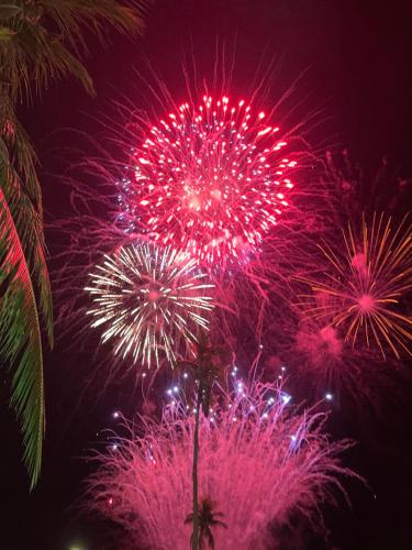 a firework display at night with a palm tree at FUNPLACE BEACH in Himmafushi