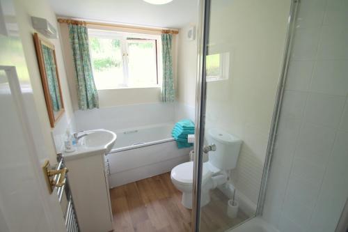 een badkamer met een toilet, een wastafel en een douche bij Bridlecott, Monksilver 