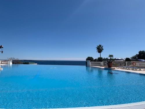 une grande piscine d'eau bleue avec des palmiers en arrière-plan dans l'établissement Cannes appartement 4 pers vue mer Wi Fi Climatisation piscine, à Cannes
