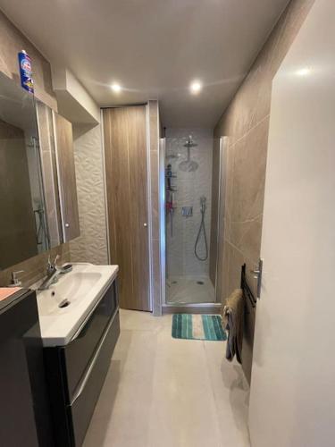 une salle de bain avec une douche et un lavabo et un chien dans l'établissement Luxo'Beach Appart, à Cavalaire-sur-Mer