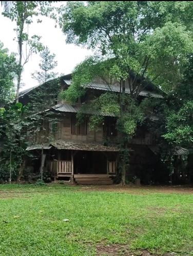 a house with a tree in front of it at Kampung 99 in Sawangan-hilir