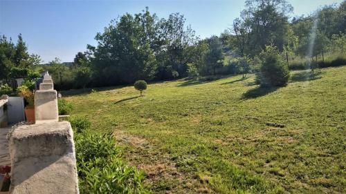 un champ avec un petit arbre au loin dans l'établissement Logement indépendant, piscine, pool-house et terrasse privés, à Castelnau-de-Guers