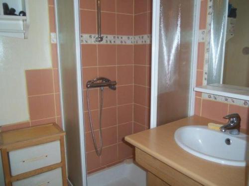 une petite salle de bain avec un lavabo et une douche dans l'établissement Charmante maison près sentier côtier, plage à 500m, Wi-Fi, animaux OK, terrasse, 2 pers - FR-1-418-252, à Locmaria
