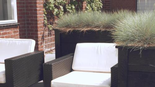 two chairs and two potted plants on a patio at Luxe woning Bubbles! Met airco en Parkeren op eigen grond in Castricum