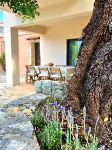 a tree sitting next to a stone wall at The Yard Residence in Gavalochori
