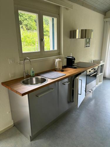 a kitchen with a sink and a counter top at Appartamento C5 in Arbedo-Castione