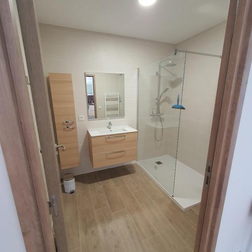 une salle de bain avec douche et lavabo dans l'établissement appartement Oliviaaxelle, à Venzolasca