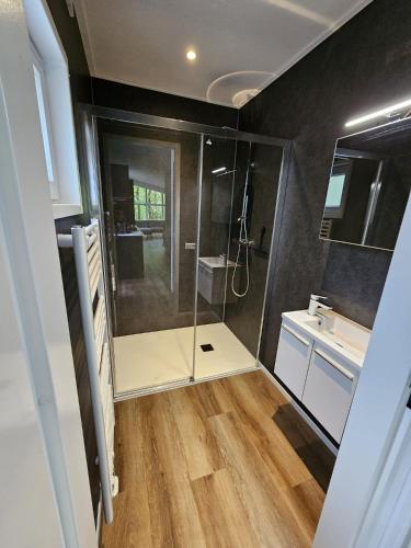 a small bathroom with a shower and a sink at Boshuis de Boompjes in Doornspijk
