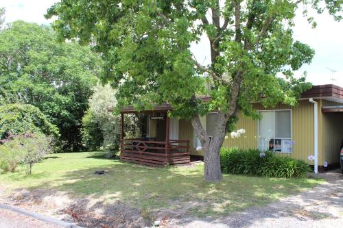 a house with a tree in front of it at Nathan's Place in Whitfield