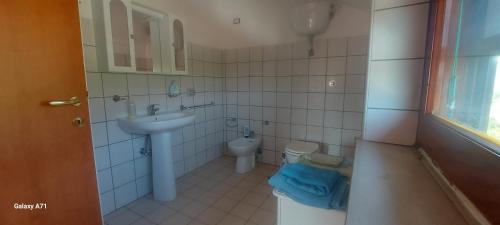 uma casa de banho com um lavatório e um WC em B&B La Palombara em Giuliano di Roma
