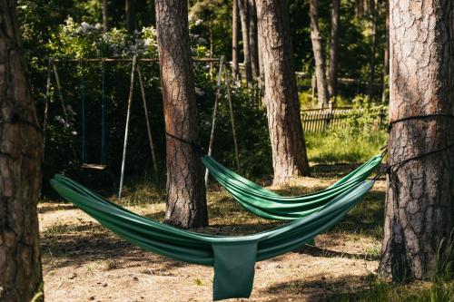 a green hammock in a park between trees at Kastytis in Nida