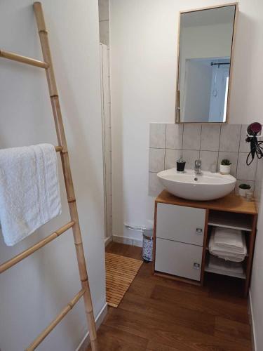 La salle de bains est pourvue d'un lavabo, d'un miroir et d'une échelle. dans l'établissement Logis des Pivoines, à Trézelles