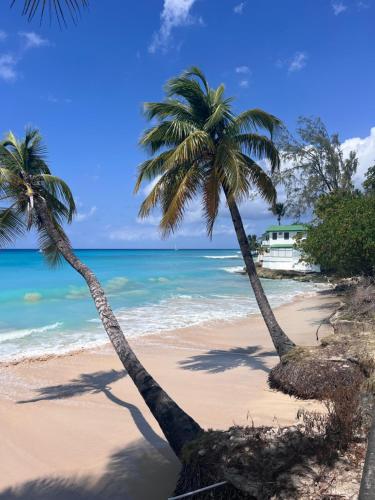 two palm trees on a beach with the ocean at Purple Rain - Direct Seaviews, 2 Bedroom, 2 Bathroom, 3 Terrace Beachfront Bliss in Saint Peter