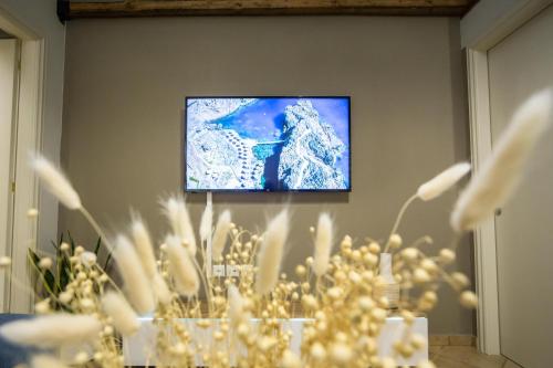 TV a/nebo společenská místnost v ubytování Serenity In Gonia